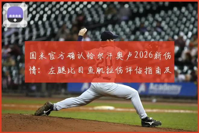 国米官方确认恰尔汗奥卢2026新伤情：左腿比目鱼肌拉伤评估指南及中场影响分析