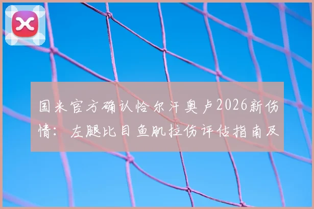 国米官方确认恰尔汗奥卢2026新伤情：左腿比目鱼肌拉伤评估指南及中场影响分析